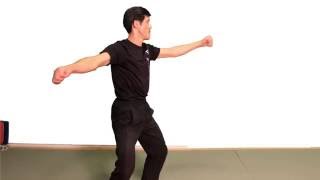 Foundation training form-Buk Sing Choy Li Fut - video animation