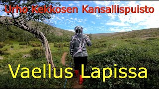 Vaellus Lapin erämaassa. Urho Kekkosen Kansallispuisto, Paratiisikuru