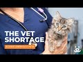 The nationwide veterinarian shortage