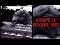 Natino Rappocciolo - Aund'è lu figghiu meu