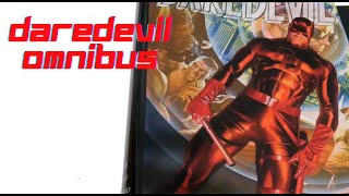 Daredevil Omnibus Volume 1 Book Review - part of my reprint collection of books