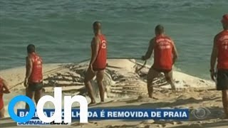 Giant humpback whale washes up on Rio beach