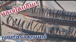 ទូកស្លាបមាន់មកបង្ហាញខ្លួនទៀ​តហើយ! ក្នុងឆ្នាំ ទីបី​January 7, 2025