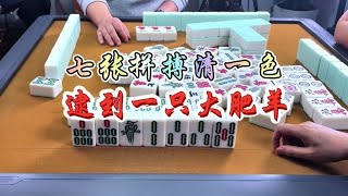 麻将：七张拼搏清一色，逮到一只大肥羊#麻将 #四川麻将