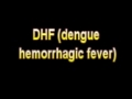 what is the definition of dhf dengue hemorrhagic fever medical dictionary free online