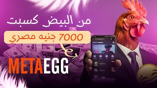 تاجرت في الفراخ على النت وكسبت مبلغ ***.**$ || الربح من الانترنت || مواقع استثمار صادقة لكم خصيصاً