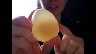 Nature Nearby: The Naked Egg