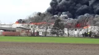 Wiesenhof Lohne Brand 28.03.2016