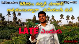 కడియం నర్సరీ లో మొక్కలు పెంపకం  | Travelling Wala | kadiyam | Pulla Venkakro Garu Nursery