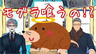 【舞元力一書初めSP】舞元家のジョジョ(猫)の話をする舞元啓介とその話に驚愕するジョー・力一【にじさんじ】