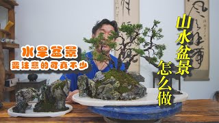 山水盆景怎么做？动手是关键！跟着视频动手做一盆属于你的山水吧