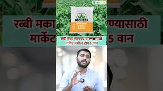 मार्केटमधील टॉप रब्बी मका बियाणे | rabbi maka variety | rabi maize variety #maize #variety #shorts