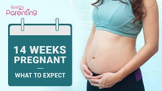 14 Weeks Pregnant: What to Expect
