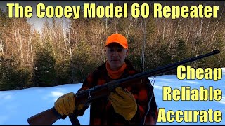 The Cooey Mod 60: Value for Money