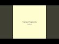 Tranquil Fragments