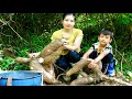 Single mothers grow rice and cook cassava for their children to eat during the day&Bàn Thúy Mai