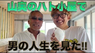 【神回‼️】謎の鳩小屋で…真っ直ぐな男を見た❗️