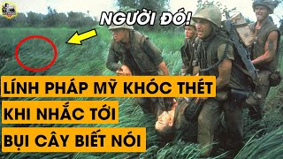 Lính Mỹ, Pháp Nói Gì Khi Nhắc Tới BỤI CÂY BIẾT NÓI ở Chiến Tranh Việt Nam?