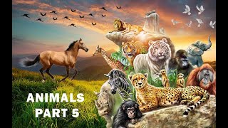 ANIMALS MIX VIDEO PART.5
