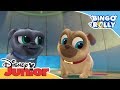 Bingo y Rolly: Una misión tenemos | Disney Junior Oficial