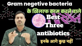 Best Three Veterinary Antibiotics for Gram Negetive Bacteria