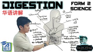 Form 2 Science [ Digestion ] 华语讲解 | PT3 KSSM