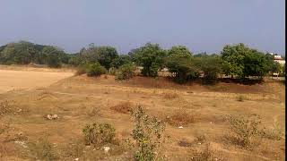 Alankuppam Tank , Puducherry - T1