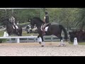 dressageclinic.com presents steffen peters assisting kelly layne udon 12 yrs. old sample 3212013