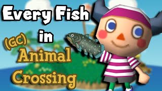 Catching Every Fish in Animal Crossing Gamecube!