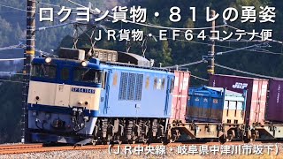 ＪＲ貨物・ＥＦ６４ロクヨン・８１レコンテナ便の勇姿（ＪＲ中央線・岐阜県中津川市坂下）