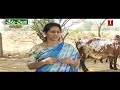 సేంద్రీయ పద్దతిలో పాలు పాల పదార్ధాల ఉత్పత్తి organic cattle farming gir cows rythu bandhu