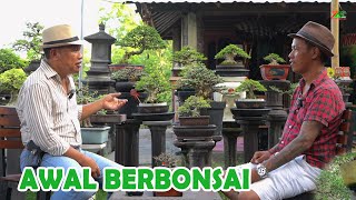 AWAL MULA BERBONSAI HINGGA HASIL RATUSAN JUTA