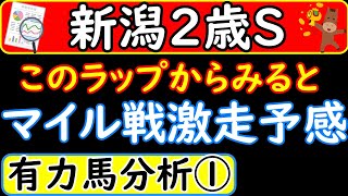 新潟2歳ステークス2022年の予想オッズ上位馬分析！ロードディフィート・アイスグリーン・シーウィザード