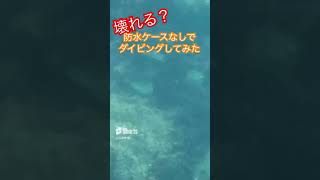 防水ケースなしでカメラを沈めてみた　#ダイビング #カメラ