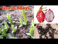 Grow in 8 Days Dragon fruit from seed  by motivation life  Channel ko subscribe Kre please 🥺