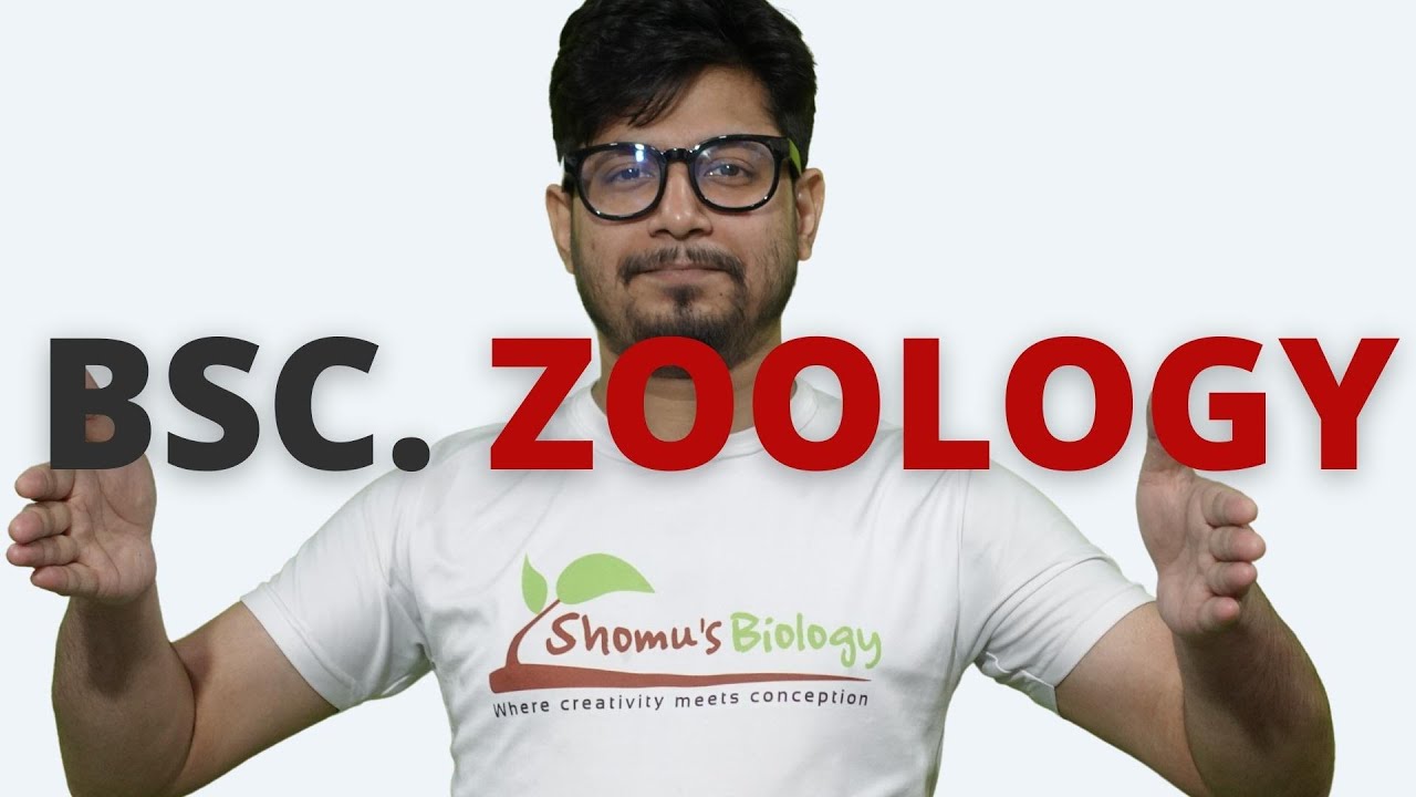 Bsc Zoology Career | Career After Bsc. Zoology - YouTube