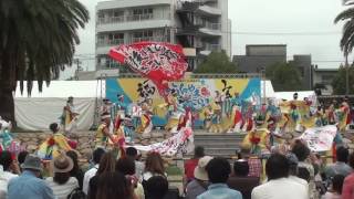 備後ばらバラよさこい踊り隊　 2016ふくのやまよさこい　 中央公園