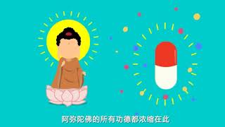 一分钟佛教常识：学佛之前造了很多业恶怎么办 -念佛消业