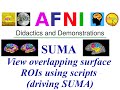 [AFNI Academy] View overlapping surface ROIs using scripts (driving SUMA)