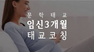 [임신 개월 수별 태교 코칭] 임신 3개월 태교 코칭 - 권정희 태교작가 임신 3개월 태교 강연