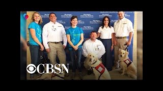 Specially trained dogs travel to El Paso to comfort first responders and medical staff after mass…