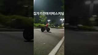 9살쌍디픽시자전거스키딩