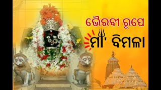 ୧୬ ଦିନ ମହିଳାଙ୍କୁ ମନା ଶ୍ରୀମନ୍ଦିରର ମା' ବିମଳା ମନ୍ଦିର, ଜାଣନ୍ତୁ କାହିଁକି ? | ETV Bharat Odisha