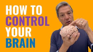 How to Train Your Brain for Success