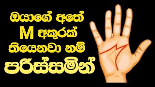 මේ වීඩියෝව අනිවාර්‍යෙන්ම බලන්න | hastha reka palapala