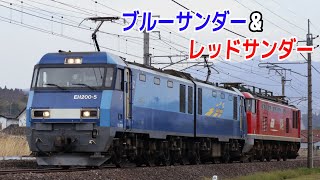 EF510 20 乗務員訓練終了に伴う返却回送配給　沼田～後閑駅間通過