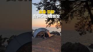 최고의 오션뷰 캠핑장 🌊 #캠핑 #캠핑장추천