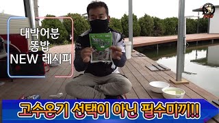 혼란스러운 찌표현..새로운 오~대박어분 으로 극뽁!! feat.아리수낚시터