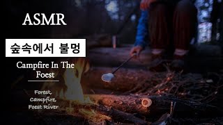 집중 ASMR ｜🏕 초저녁 숲속에서 불멍하기 🔥｜집중에 도움이 되는 백색소음｜White noise Campfire in the forest ASMR