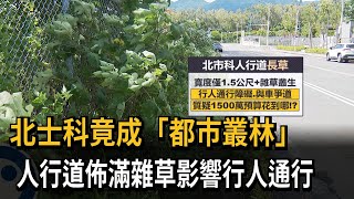 北士科竟成「都市叢林」 人行道佈滿雜草影響行人通行－民視新聞